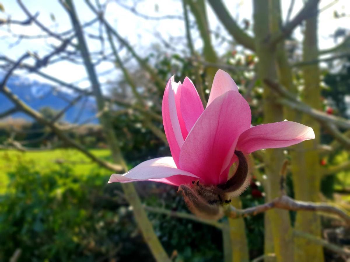 Te Mahuru Retreat Kaikoura Zewnętrze zdjęcie